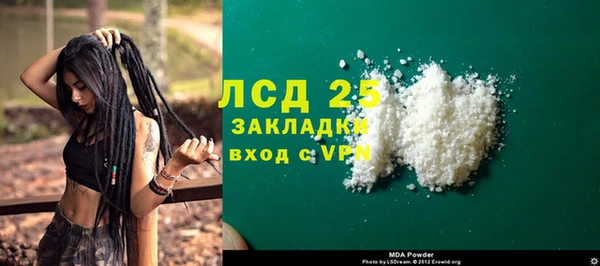 прущие грибы Осинники