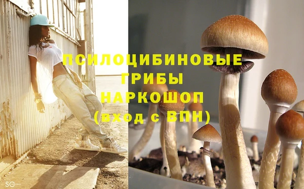 соль курить ск Алексин
