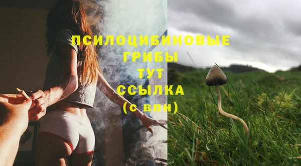 ПСИЛОЦИБИНОВЫЕ ГРИБЫ Алзамай