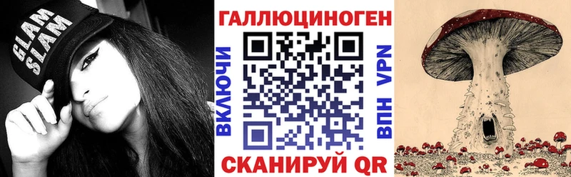 мега как войти  Бирюч  Псилоцибиновые грибы GOLDEN TEACHER 